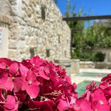 Apartmán Carpofoli Corfu Corfu  Exteriér fotografie