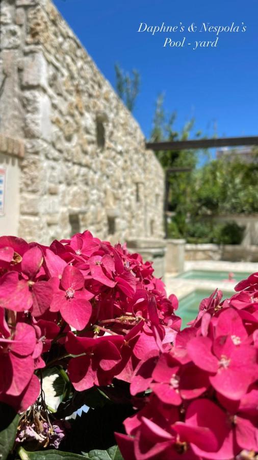 Apartmán Carpofoli Corfu Corfu  Exteriér fotografie